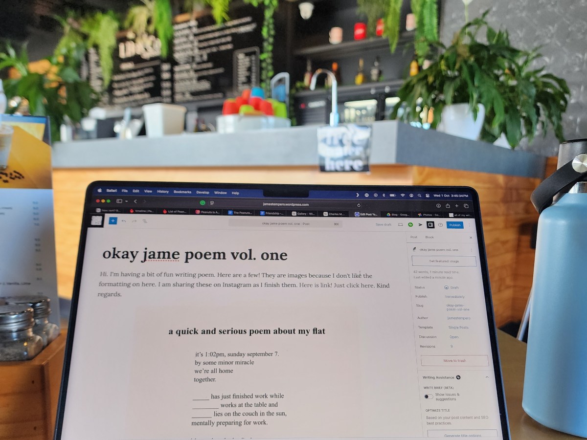 okay jame poem vol.&nbsp;one